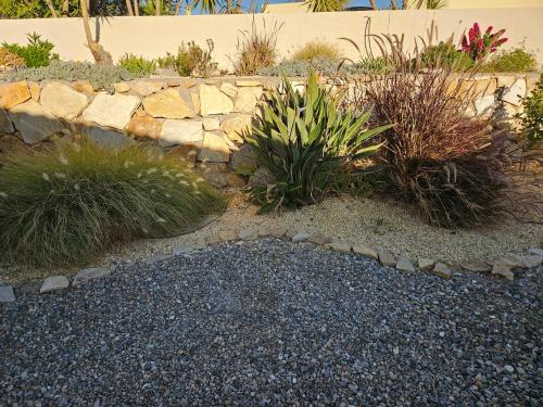 a garden with plants and a stone wall at Chamarin in Arboleas