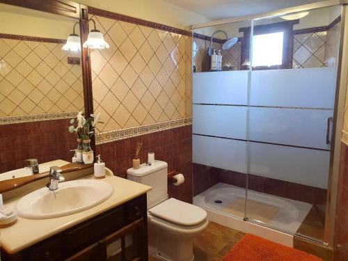 a bathroom with a toilet and a sink and a shower at Casa rural Las Palmeras in Vallehermoso