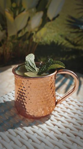 a cup with a plant in it sitting on a table at Dharma Hotel Boutique Spa in San Jerónimo