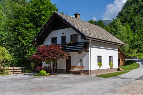 a small white house with a black roof at Apartma pri lipi in Bohinj