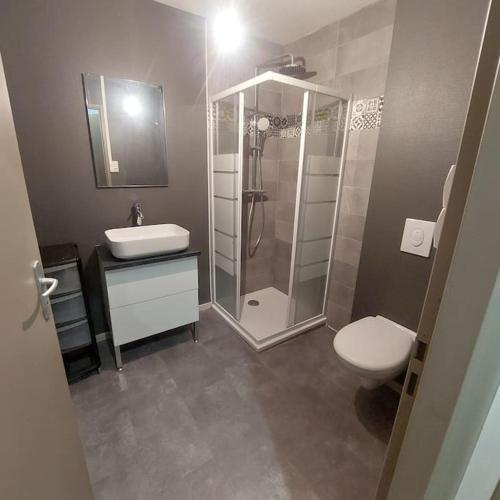 une salle de bain avec une douche, des toilettes et un lavabo dans l'établissement appartement rénové centre ville, à Bourbonne-les-Bains