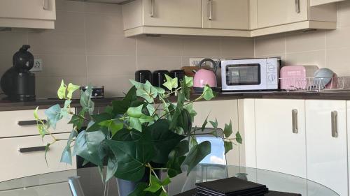 Dapur atau dapur kecil di Chester City Centre Waterfront Apartment