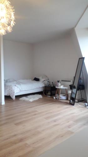 une chambre avec un lit et un parquet dans l'établissement Grand studio cosy, lumineux et équipé au cœur du Chesnay, à Le Chesnay