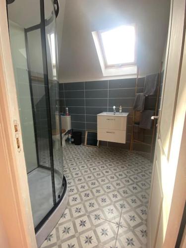 une salle de bain avec douche et lavabo dans l'établissement Appartement proche plage, à Dunkerque