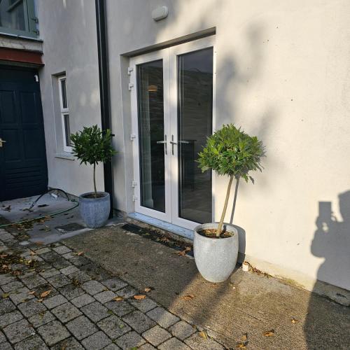 two potted plants sitting in front of a door at The Greenmount in Westport