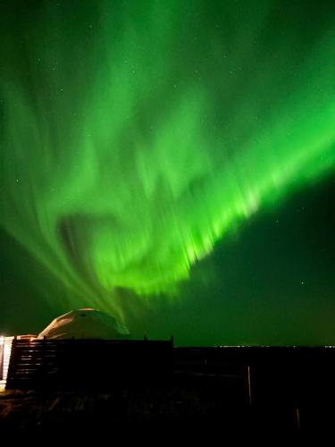 an aurora in the sky with a tent under it at Eyja Mork - Aurora Dome with Private Bathroom and other facilities in Hvolsvöllur