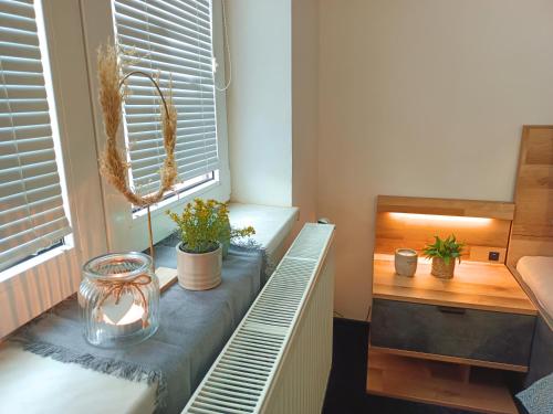 a room with a window with potted plants on a bench at Penzion SPORTINO in Svoboda nad Úpou