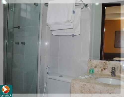 La salle de bains est pourvue d'une douche, de toilettes et d'un lavabo. dans l'établissement Hotel Tamarsol, à João Pessoa