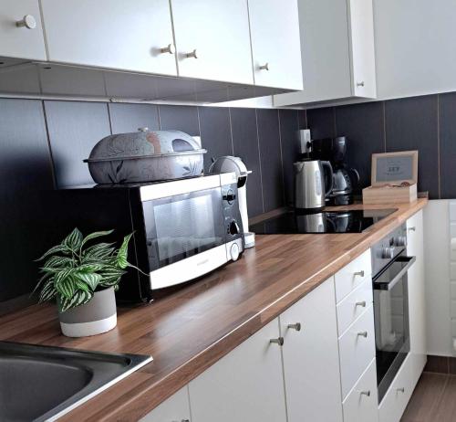 Peony Apartment 4400 Nyíregyháza, Tompa Mihály utca kép - 3