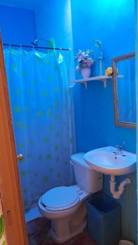a blue bathroom with a toilet and a sink at Casa Atrapasueños in Valladolid