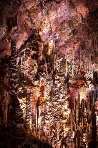 a cave filled with lots of rock formations at La cabane au fond du jardin in Le Massegros