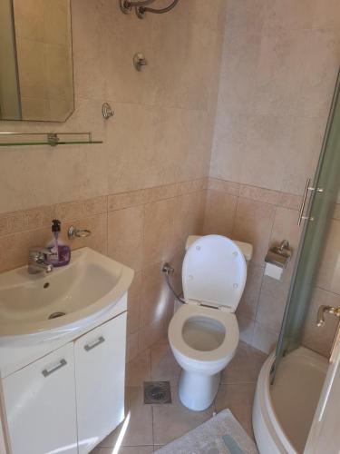 a bathroom with a toilet and a sink and a shower at Apartments Pejanović in Kotor