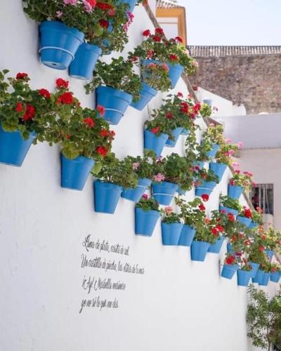 Beautiful Marbella Apartment photo 29