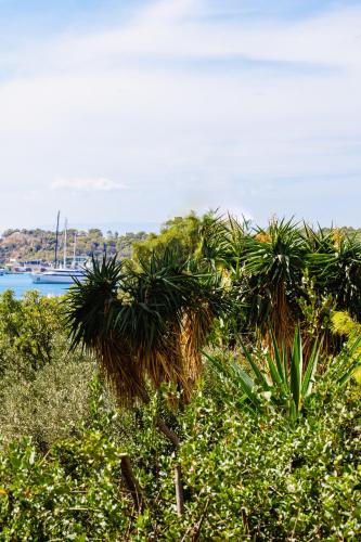 a group of palm trees with a boat in the background at Aspa Luxury Garden Apartment in Vouliagmeni Center in Athens