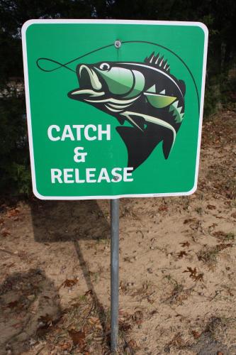 a green sign with a fish and release on it at DazeOFF Too Suite 7 - Pet Friendly Suite by The Lodges at Fossil Creek in Shay