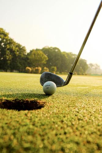 a golf club and a golf ball on a golf course at Charlesworth Bay Beach Resort in Coffs Harbour