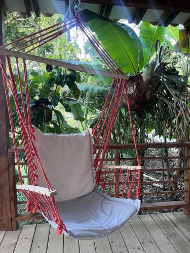 a hammock chair on a porch with a plant at Eco Hotel La Italia- Hotel Venecia, Antioquia in Venecia