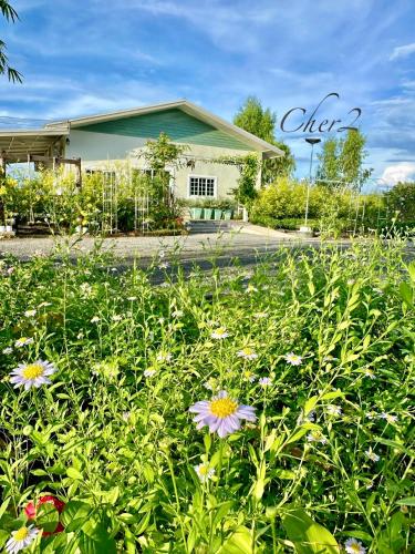a field of flowers in front of a house at หลัง 2 เฌอเฌอ การ์เด้น เฮาส์ ที่พักคำชะโนด in Ban Nong Sawang