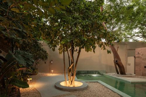 a tree in a courtyard next to a pool at Welcome to Paradise - Luxurious Studio Oasis "Urania" with Pool and Lush Tropical Gardens in Sayulita