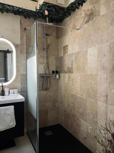 une salle de bain avec douche et lavabo dans l'établissement Charmant studio en ville, à Paris
