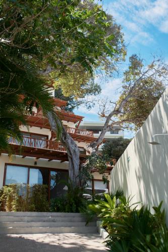 Ysuri Sayulita - Beachfront Hotelにある庭
