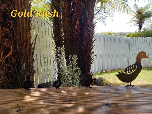a group of birds standing on a wooden deck at Charleston Goldfields Accommodation in Charleston