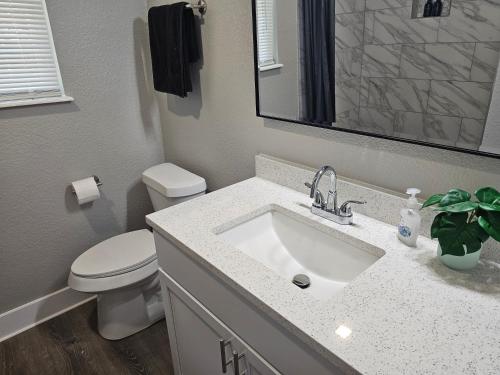 Un baño con lavabo, inodoro y espejo. en Homey 2br Home Near Dt&airport, en Austin
