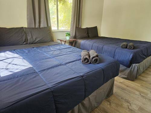 Dos camas en una habitación con edredones azules. en Homey 2br Home Near Dt&airport, en Austin