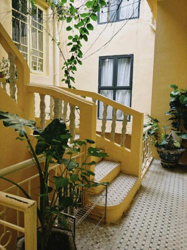 a stairway in a building with a plant at Azalea Apartment in Hanoi