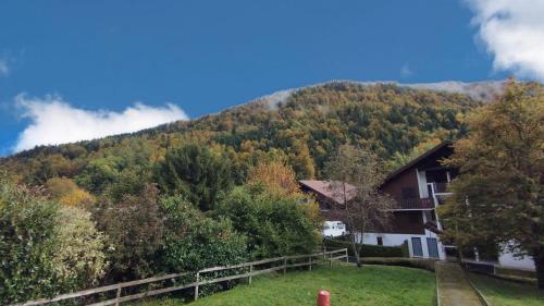 une maison en face d'une colline plantée d'arbres dans l'établissement La Dolce Vita Studio 4 personnes, à Habère-Poche