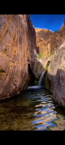 カントリーハウスの近くで見られる自然の景観