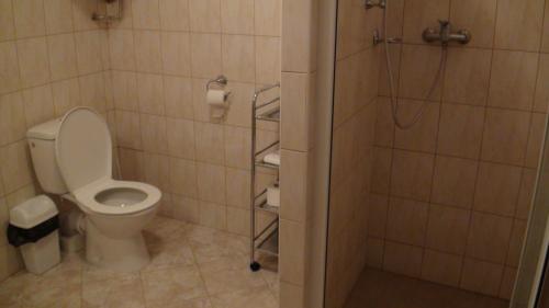 a bathroom with a toilet and a shower at Penzion Taferna in Žďár nad Sázavou