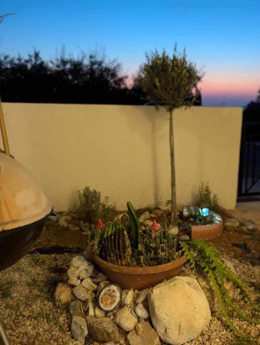 Zahrada ubytování Arting Sea-A Dog friendly house