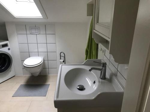 a bathroom with a sink and a toilet at Fiore Gästezimmer A13 in Esselbach