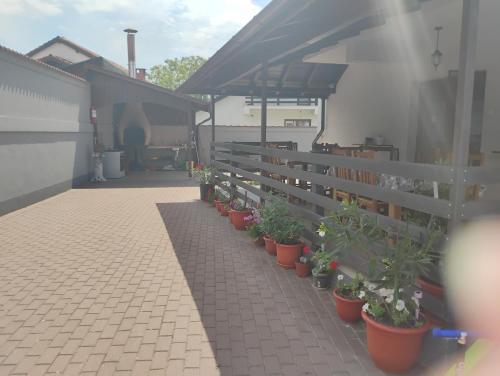 a row of plants in pots on a patio at Caty in Jiblea Veche