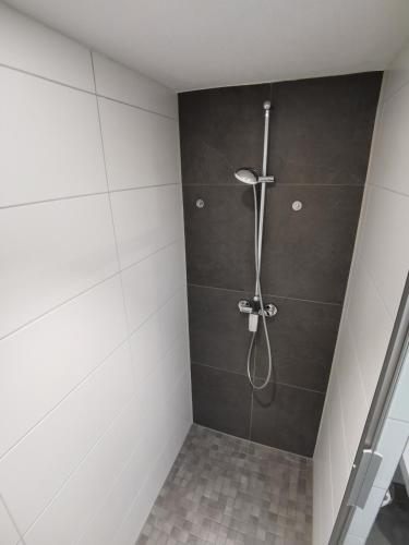 a bathroom with a shower with a shower head at Obstbau Apartment am See in Lindau