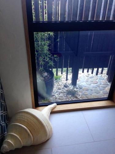 a shell sitting in front of a window at Sheoakes Beach House- East Coast Tas in Falmouth
