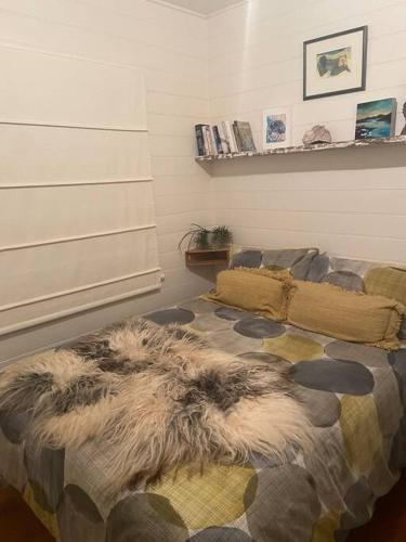 a bedroom with a couch and a rug on the floor at Redruth,original 1940 Falmouth shack in Falmouth