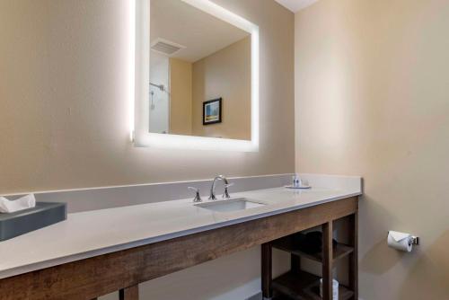 a bathroom with a sink and a mirror at Comfort Inn & Suites Downtown near University in Tuscaloosa