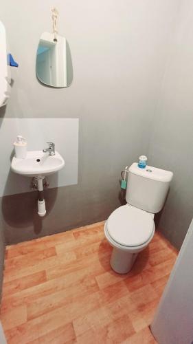 a bathroom with a toilet and a sink at Ubytovaní U Dvora in Bohumín