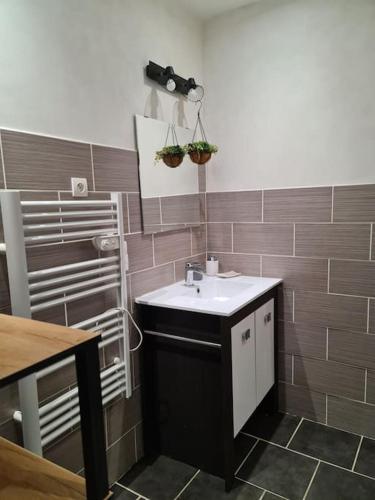 Elle comprend une petite salle de bains pourvue d'un lavabo et d'une table. dans l'établissement Appartement centre du village, à Flassans-sur-Issole
