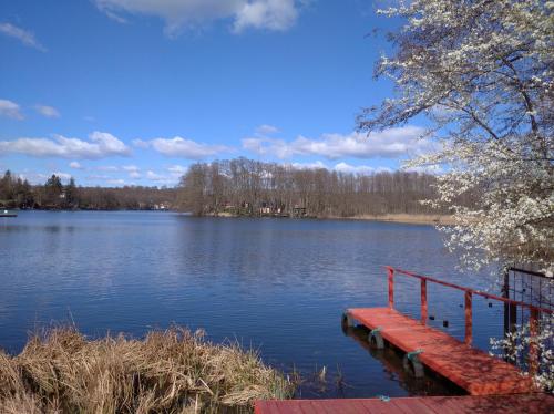 a red bench sitting on the side of a lake at Lake Park Łagów in Łagów