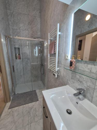 a bathroom with a sink and a shower with a glass door at Tasson Snel apartment center of Brussels in Brussels