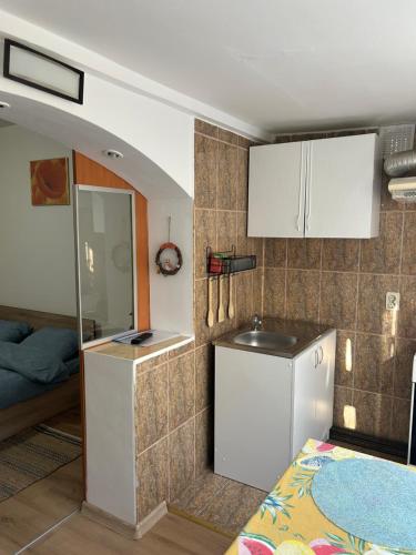Η κουζίνα ή μικρή κουζίνα στο Andreia Residence