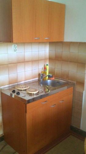 a kitchen with a sink and a counter top at Apartments and Rooms Happiness in Tučepi