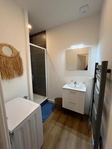une petite salle de bain avec un lavabo et une douche dans l'établissement Appartement confortable, neuf en centre ville, à Cany-Barville