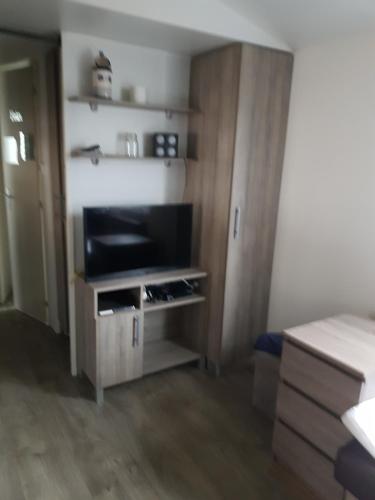 - un salon avec une télévision et une armoire en bois dans l'établissement Mobilhome climatisé 6 pers, à Gujan-Mestras
