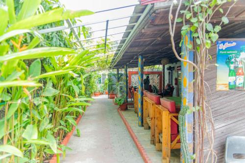 a greenhouse with plants on the side of a building at Residence Ivoire Cotonou in Cotonou