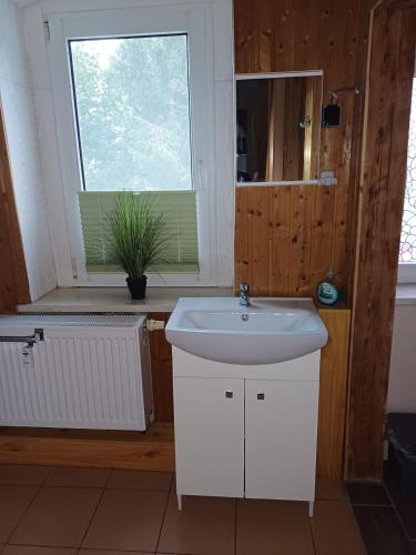 a bathroom with a white sink and a window at Ferienwohnung Glück Auf in Brand-Erbisdorf