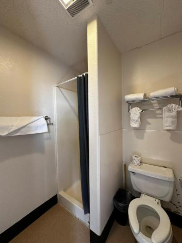 a bathroom with a toilet and a shower at 071A Private Studio near South Rim Sleeps 6- No Kitchen in Valle